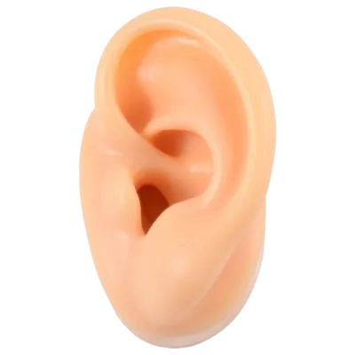 category image