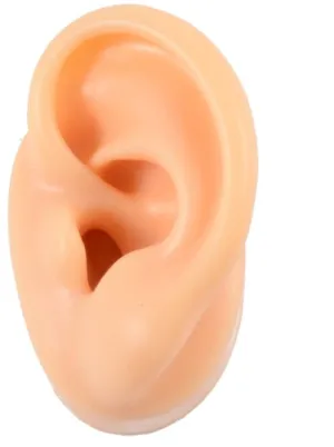 SILIKON-PIERCING-OHR
