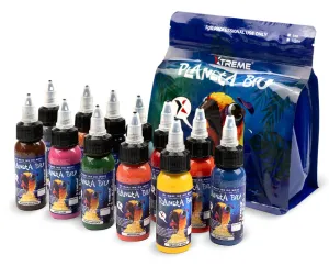 XTREME INK - PLANETA BIU NEW SCHOOL SET 12X30 ML